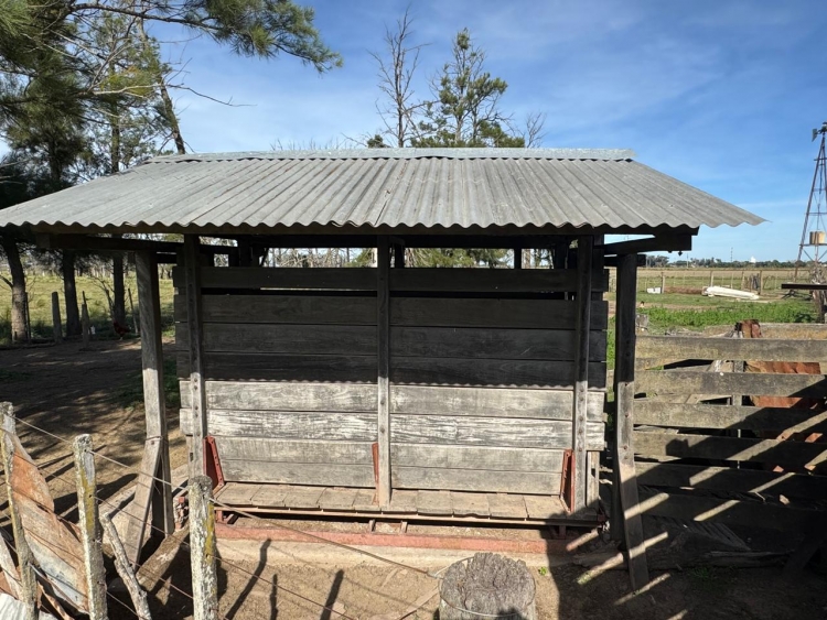 LANCHAS, MOTORES, BALANZAS,TRACTOUSINA,TALLER ETC.