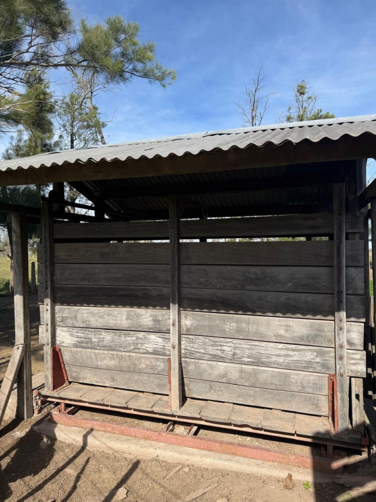 LANCHAS, MOTORES, BALANZAS,TRACTOUSINA,TALLER ETC.