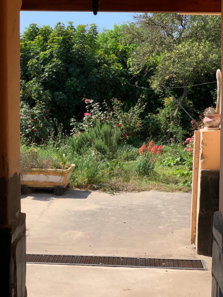 CASA 