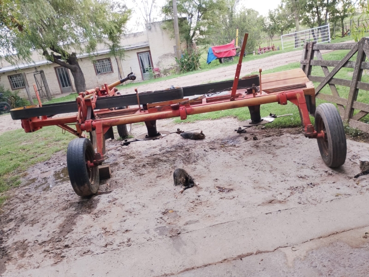 2 Corta-hileradoras CERUTTI