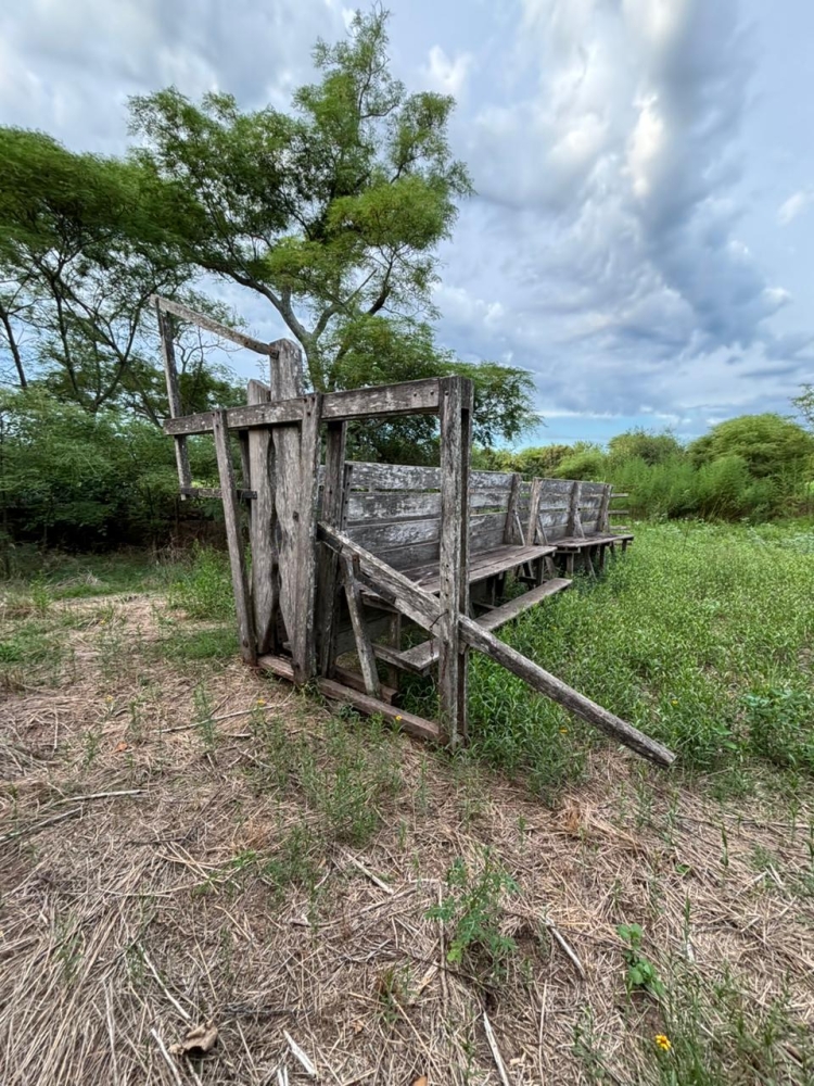 TRACTORES ANTIGUOS- PUENTE GRUA- MANGA Y CEPO-MOTORES-TALLER-ART. GENERALES.  
